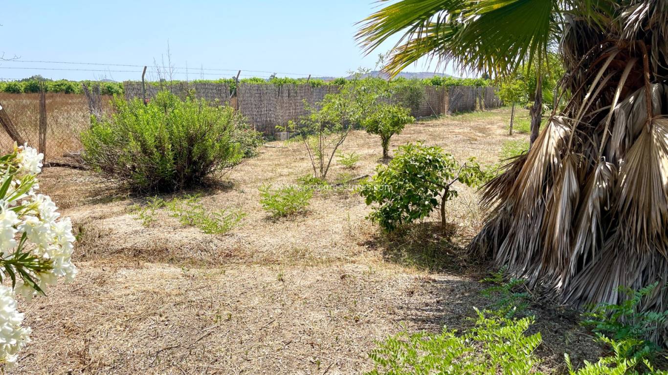 Reventa - Villa - Daya Nueva