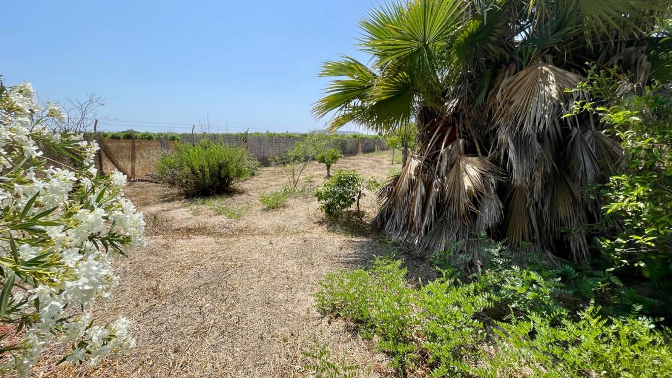 Reventa - Villa - Daya Nueva