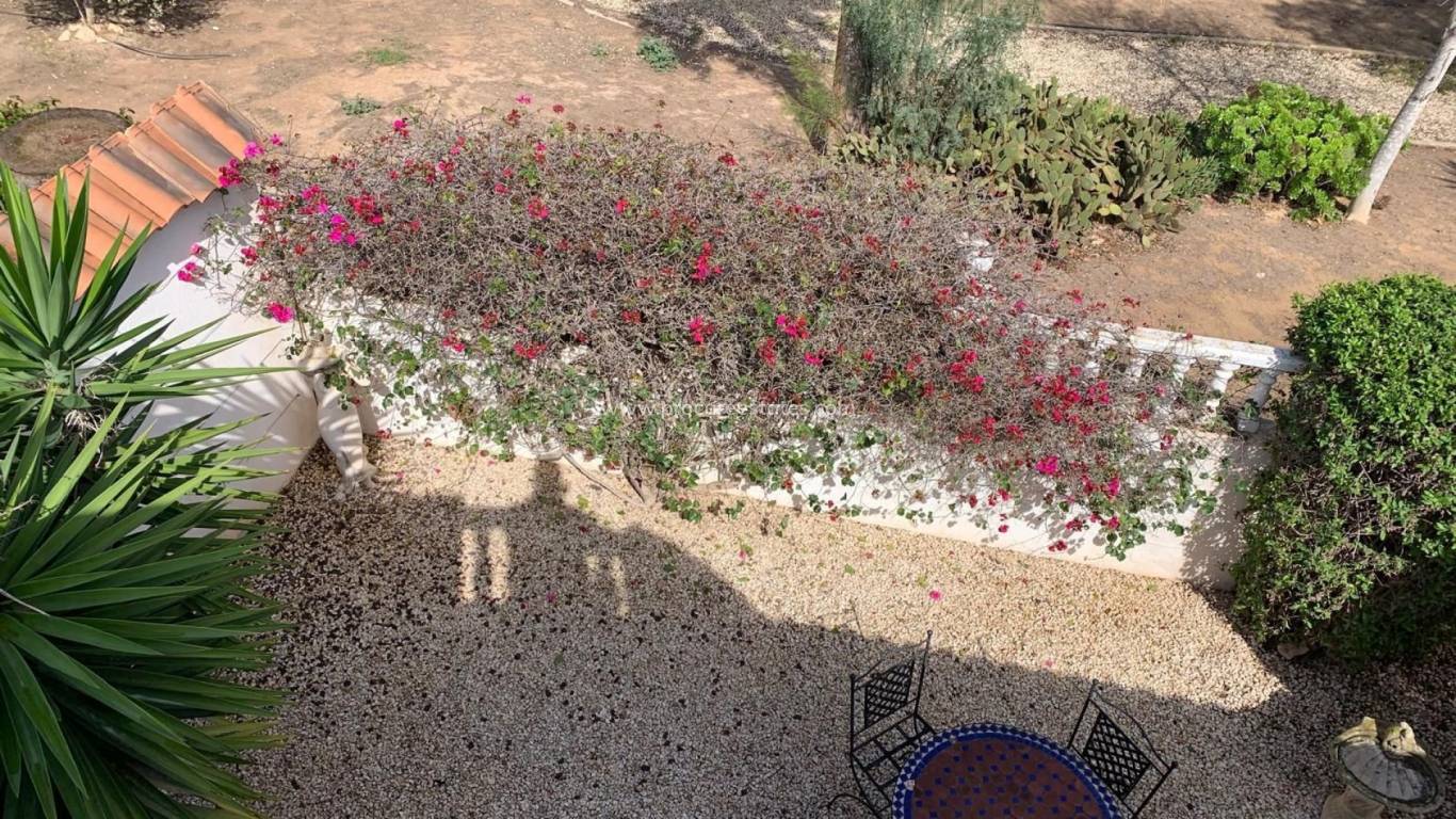 Reventa - Villa - Guardamar del Segura - El Raso