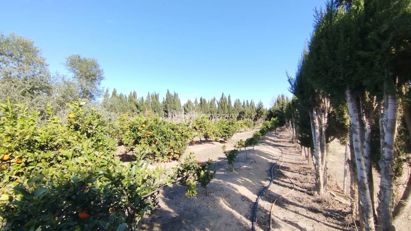 Reventa - Villa - Rojales - Rojales - Country