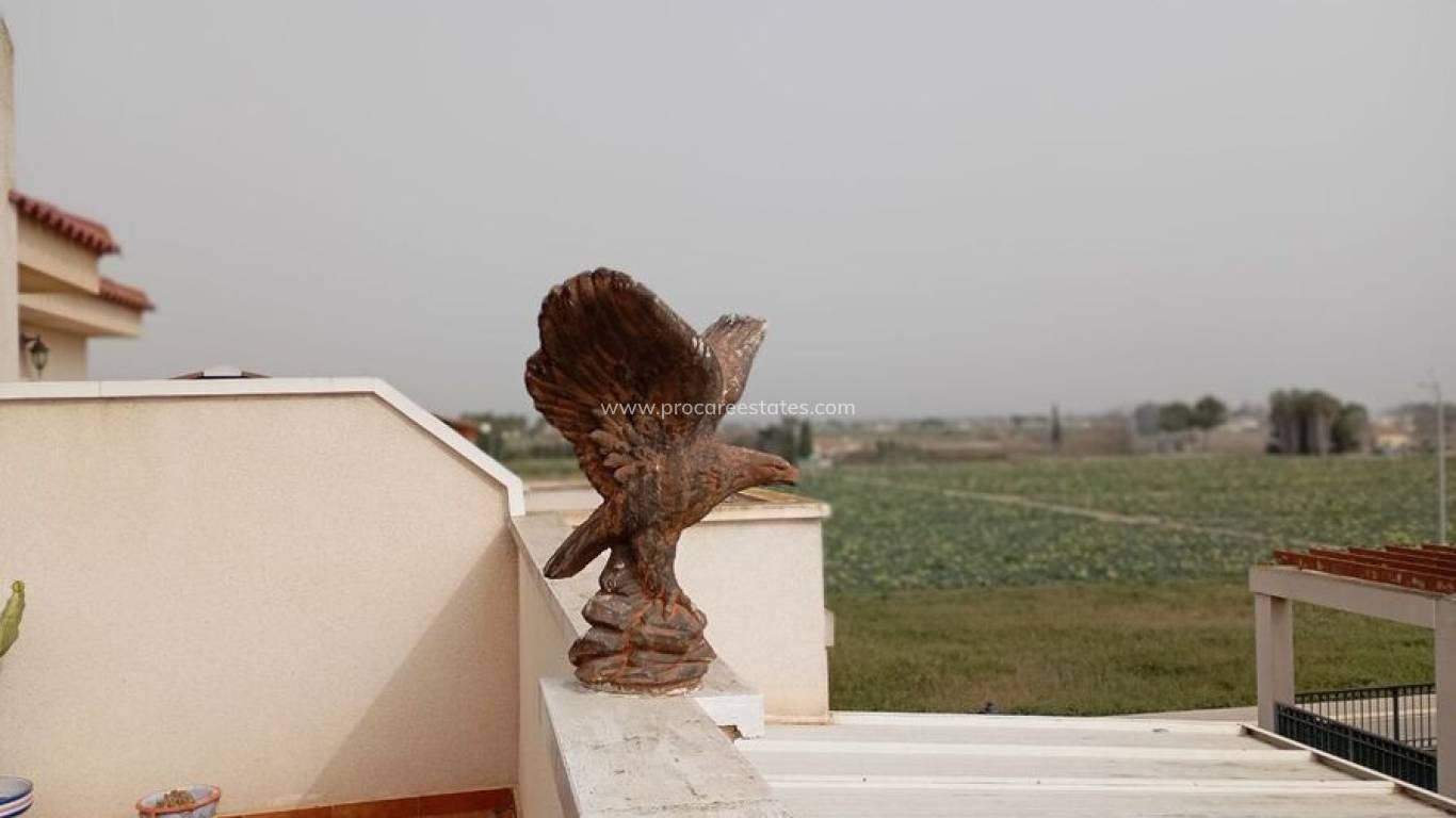 Revente - Appartement - Daya Vieja