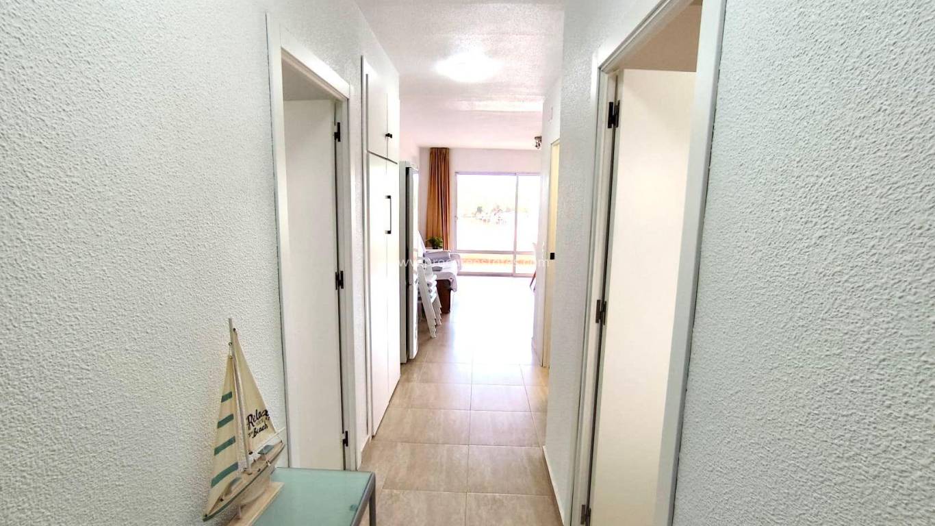 Revente - Appartement - Guardamar del Segura - Pinomar