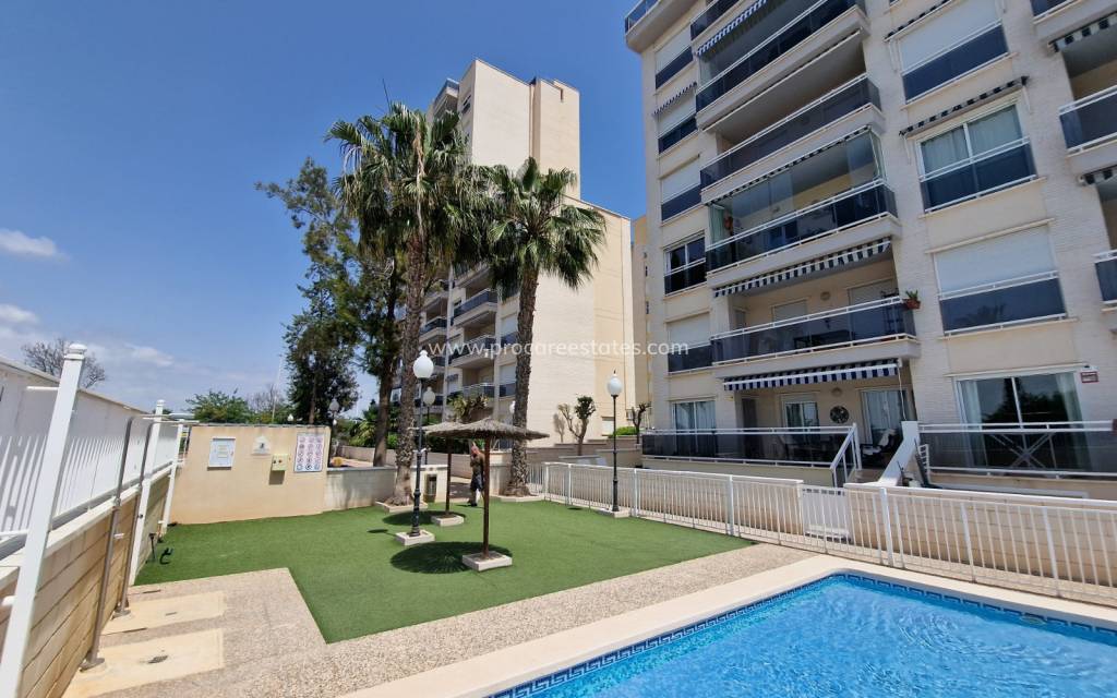 Revente - Appartement - Guardamar del Segura - Puerto