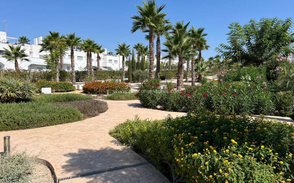 Revente - Appartement - Orihuela - Vistabella Golf