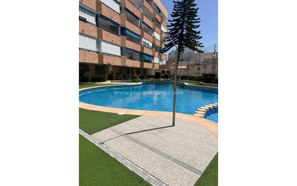 Revente - Appartement - Torrevieja - Acequion