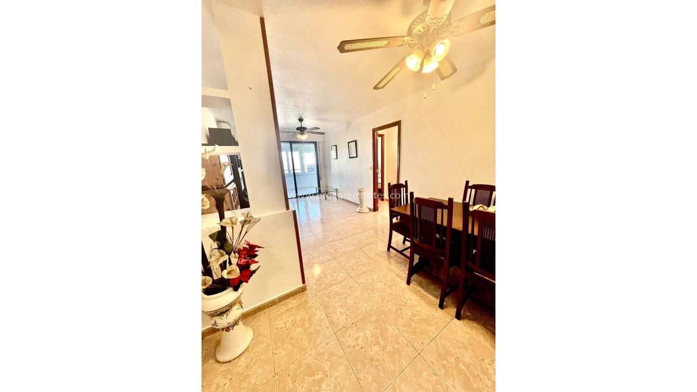 Revente - Appartement - Torrevieja - Acequion