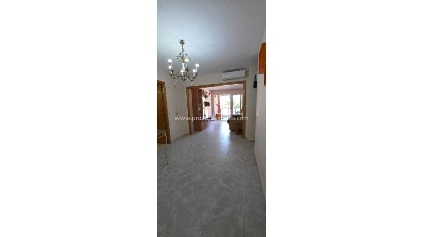 Revente - Appartement - Torrevieja - Acequion