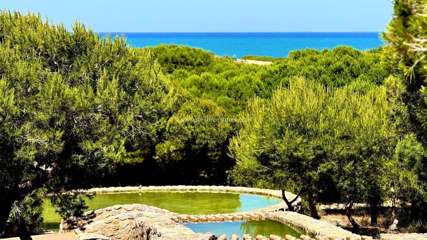 Revente - Appartement - Torrevieja - Cañada del Molino