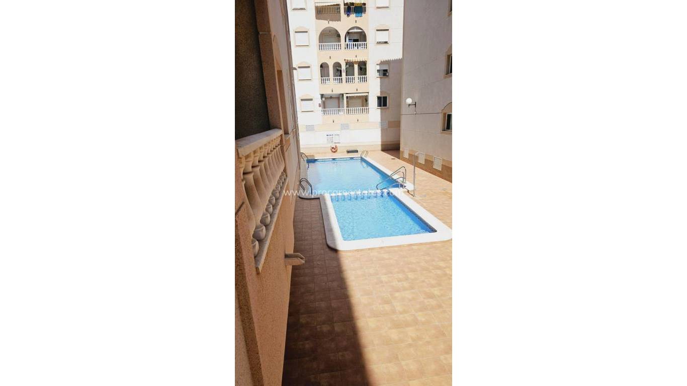 Revente - Appartement - Torrevieja - Torrevieja Center