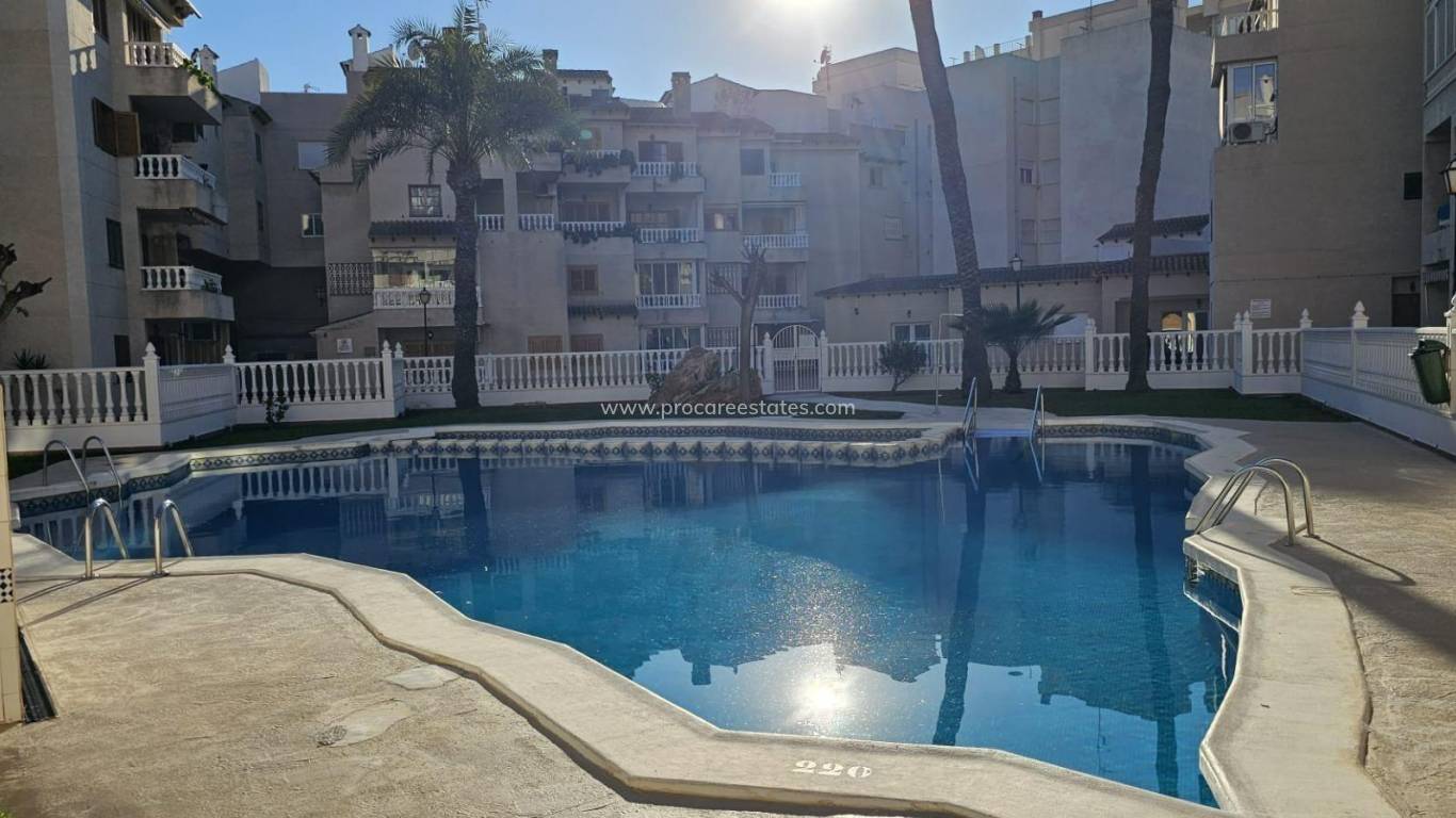 Revente - Appartement - Torrevieja - Torrevieja Center
