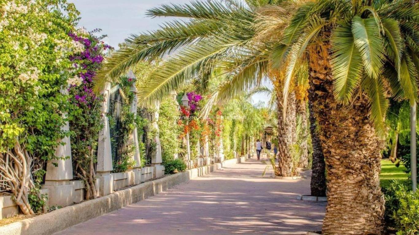 Revente - Appartement - Torrevieja - Torrevieja Center