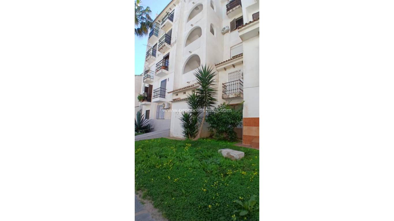 Revente - Appartement - Torrevieja - Torrevieja Center