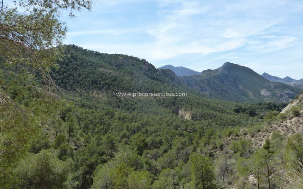 Revente - Maison de ville - Murcia