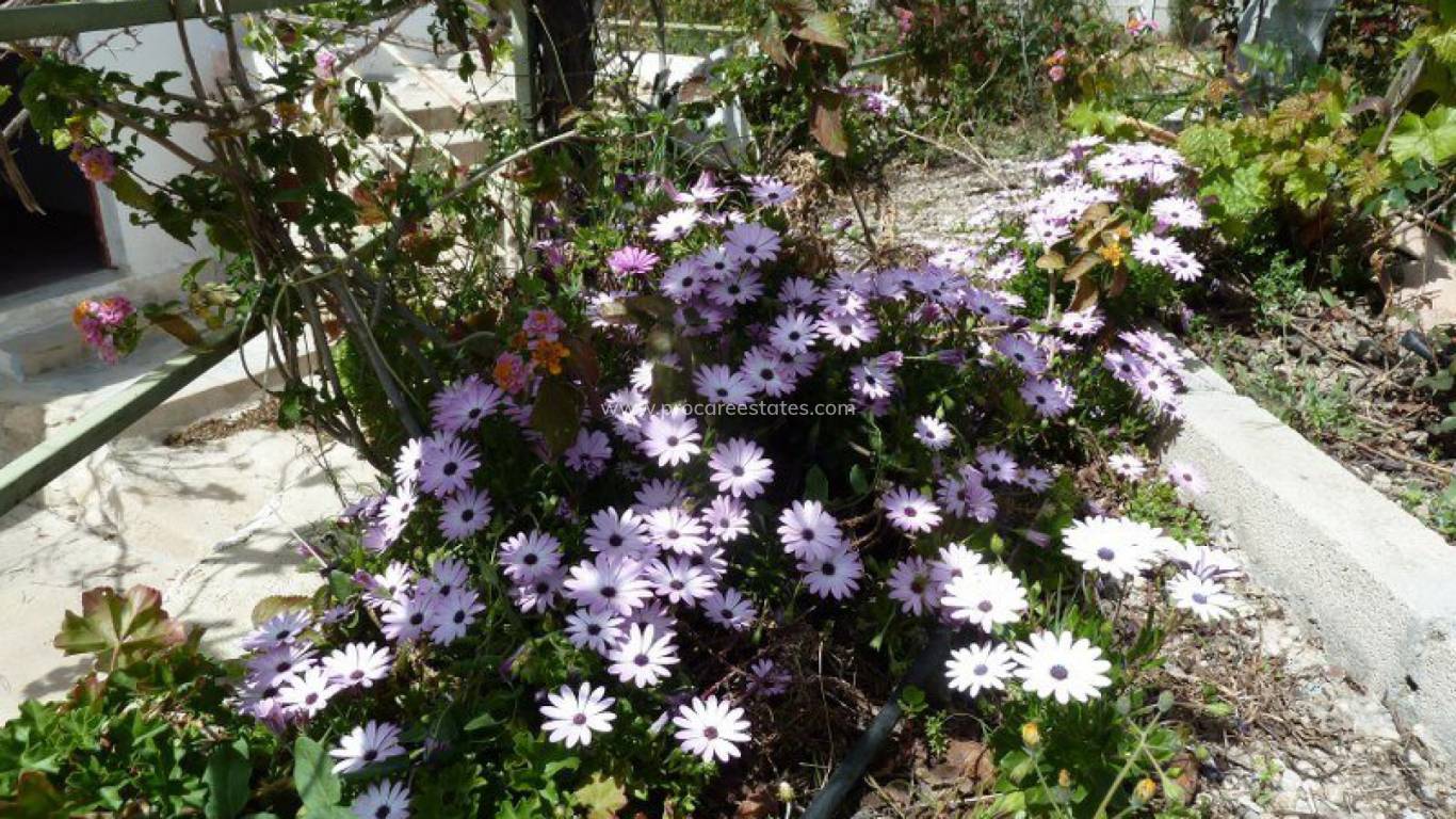 Revente - Maison de ville - Murcia