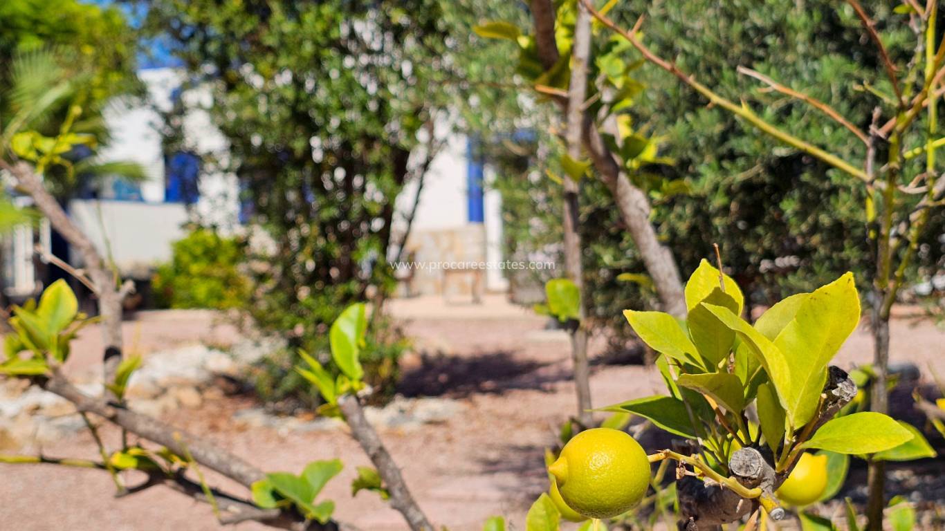 Revente - Propriété de campagne - Crevillente