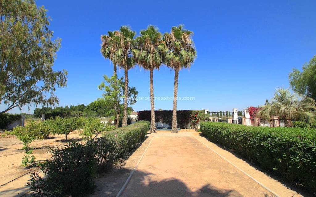 Revente - Propriété de campagne - Daya Vieja