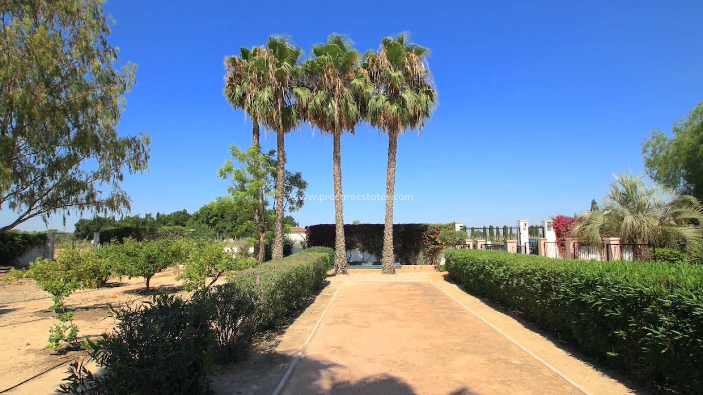 Revente - Propriété de campagne - Daya Vieja