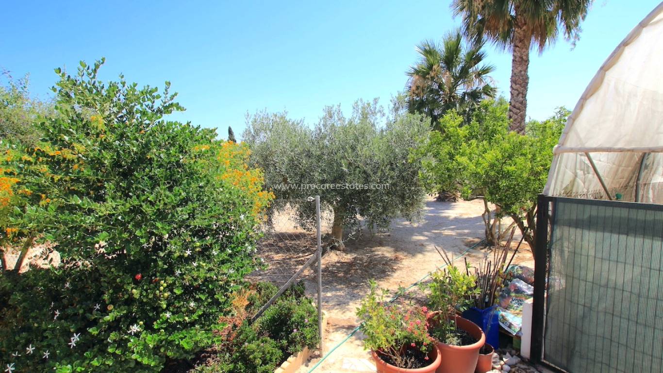 Revente - Propriété de campagne - Daya Vieja