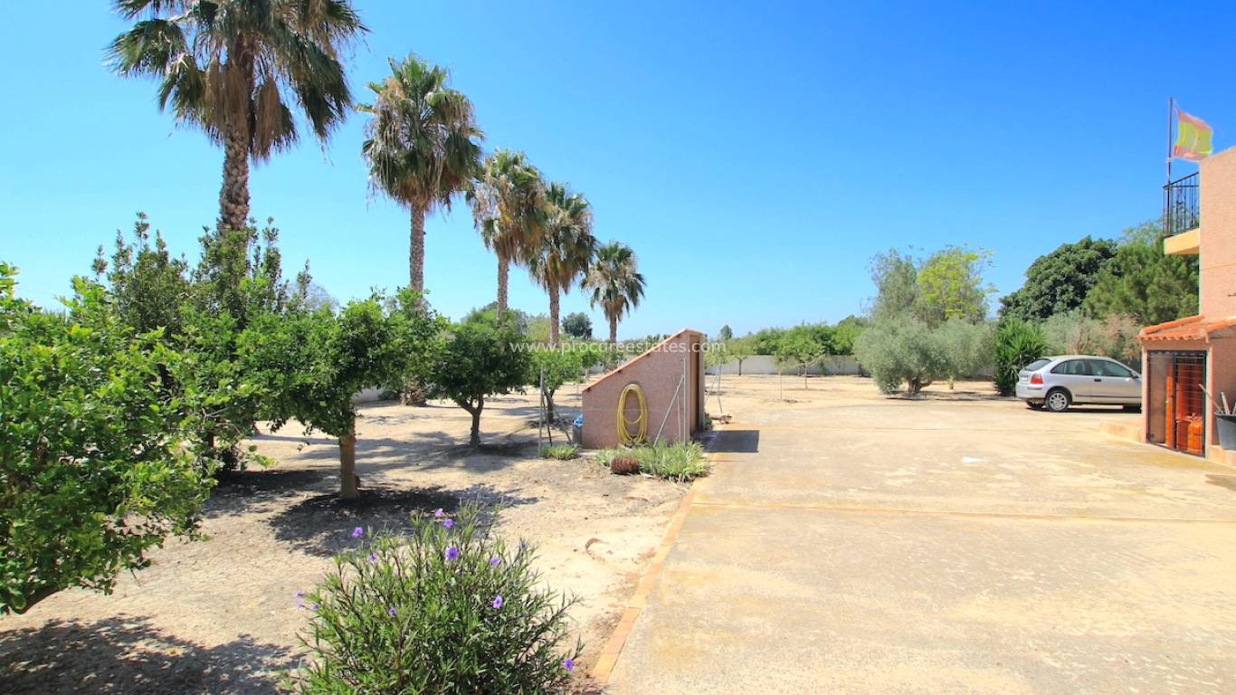 Revente - Propriété de campagne - Daya Vieja