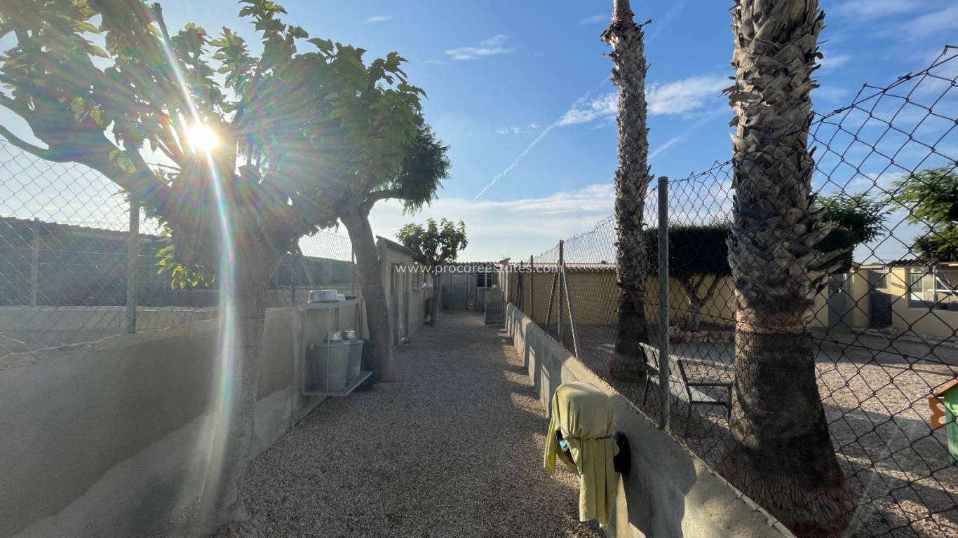 Revente - Propriété de campagne - Elche - Las Bayas