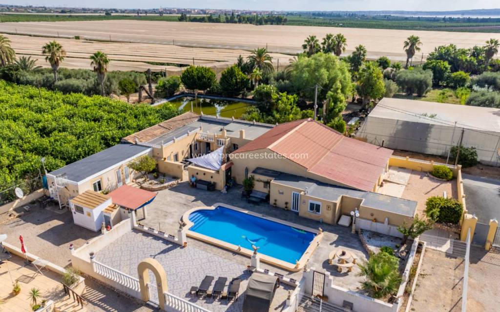 Revente - Propriété de campagne - Los Montesinos