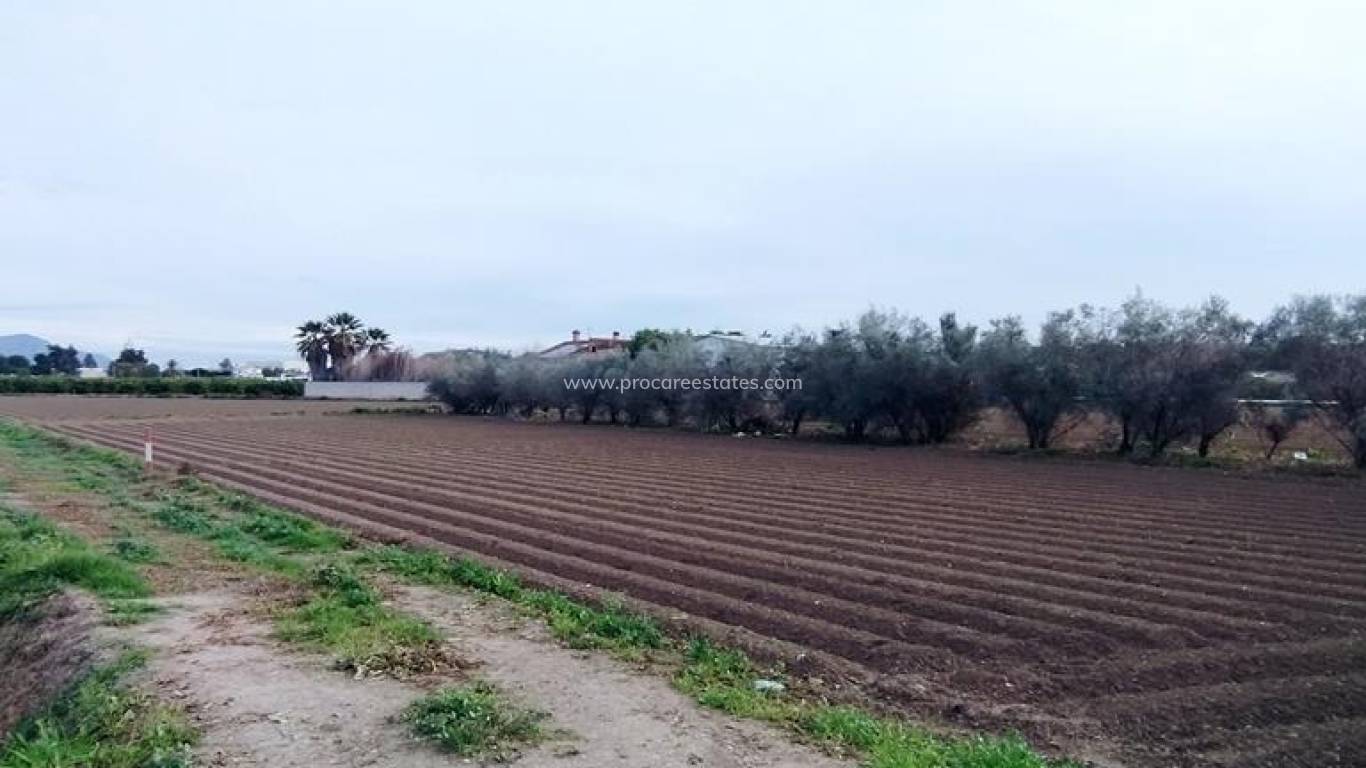 Revente - Propriété de campagne - Orihuela - Correntías Bajas