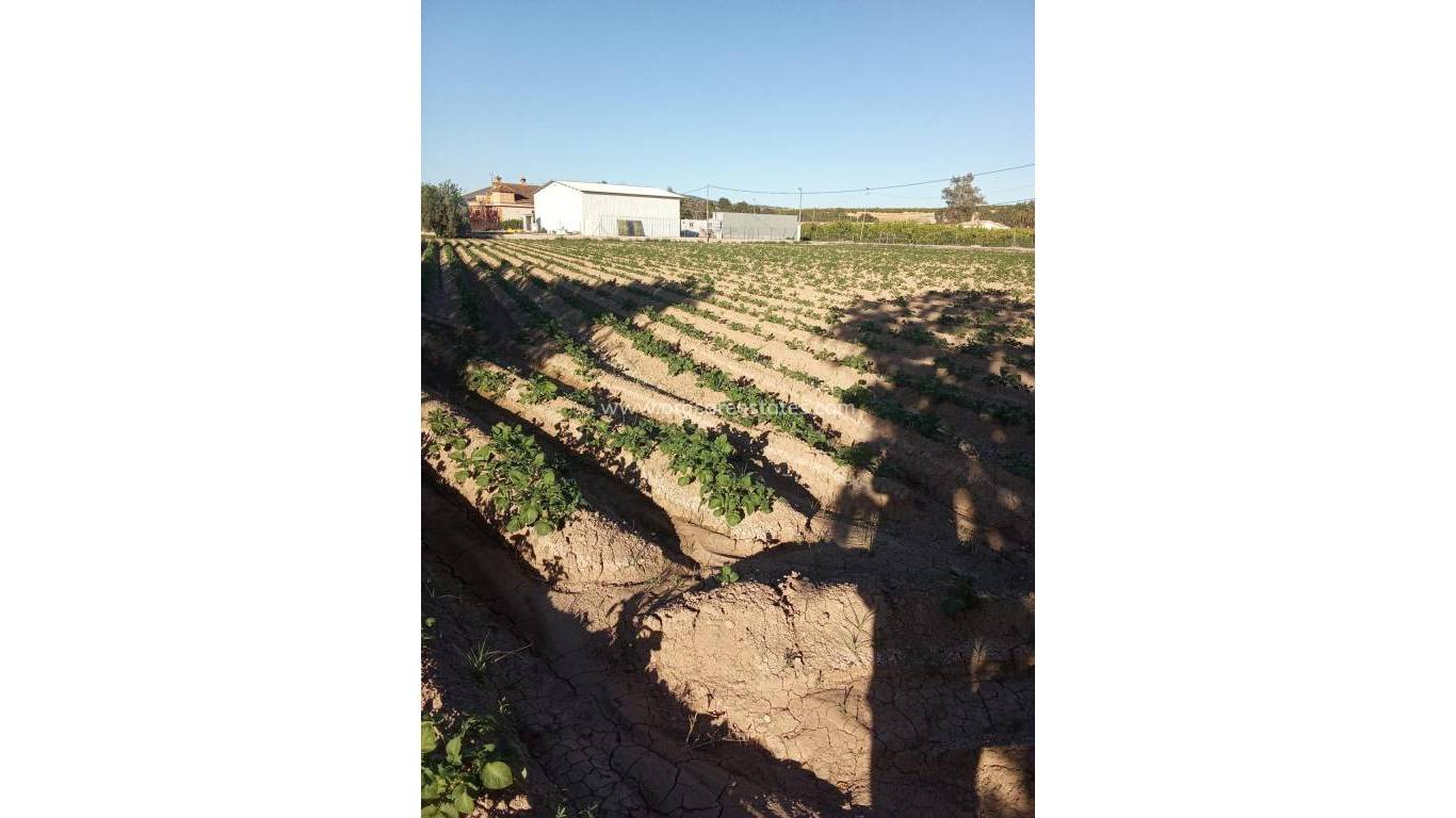Revente - Propriété de campagne - Orihuela - Correntías Bajas