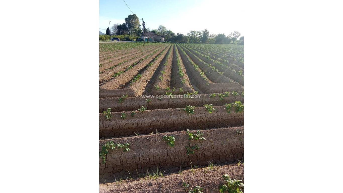 Revente - Propriété de campagne - Orihuela - Correntías Bajas