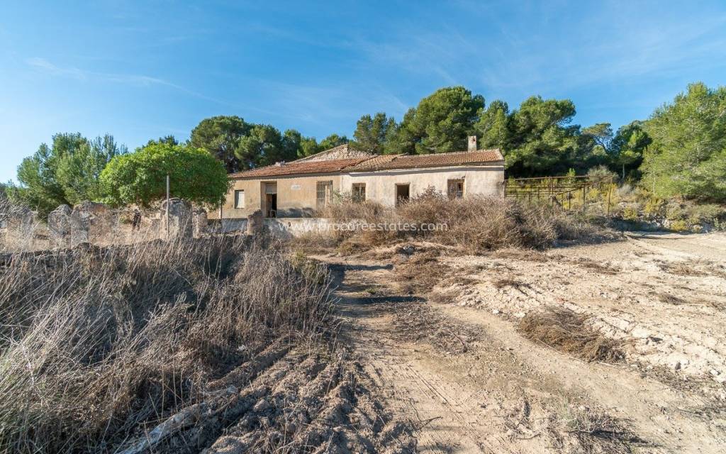 Revente - Propriété de campagne - Pilar de la Horadada - Pinar de la Perdiz