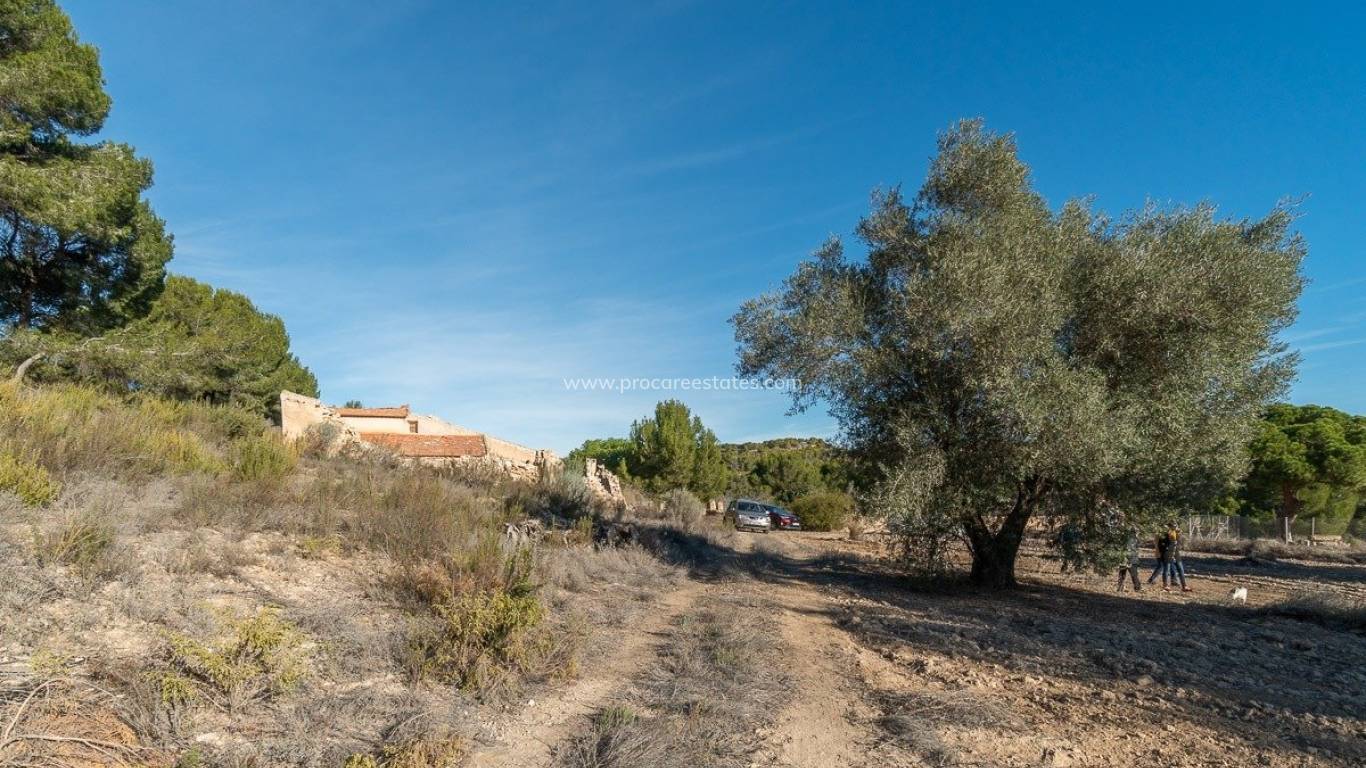 Revente - Propriété de campagne - Pilar de la Horadada - Pinar de la Perdiz