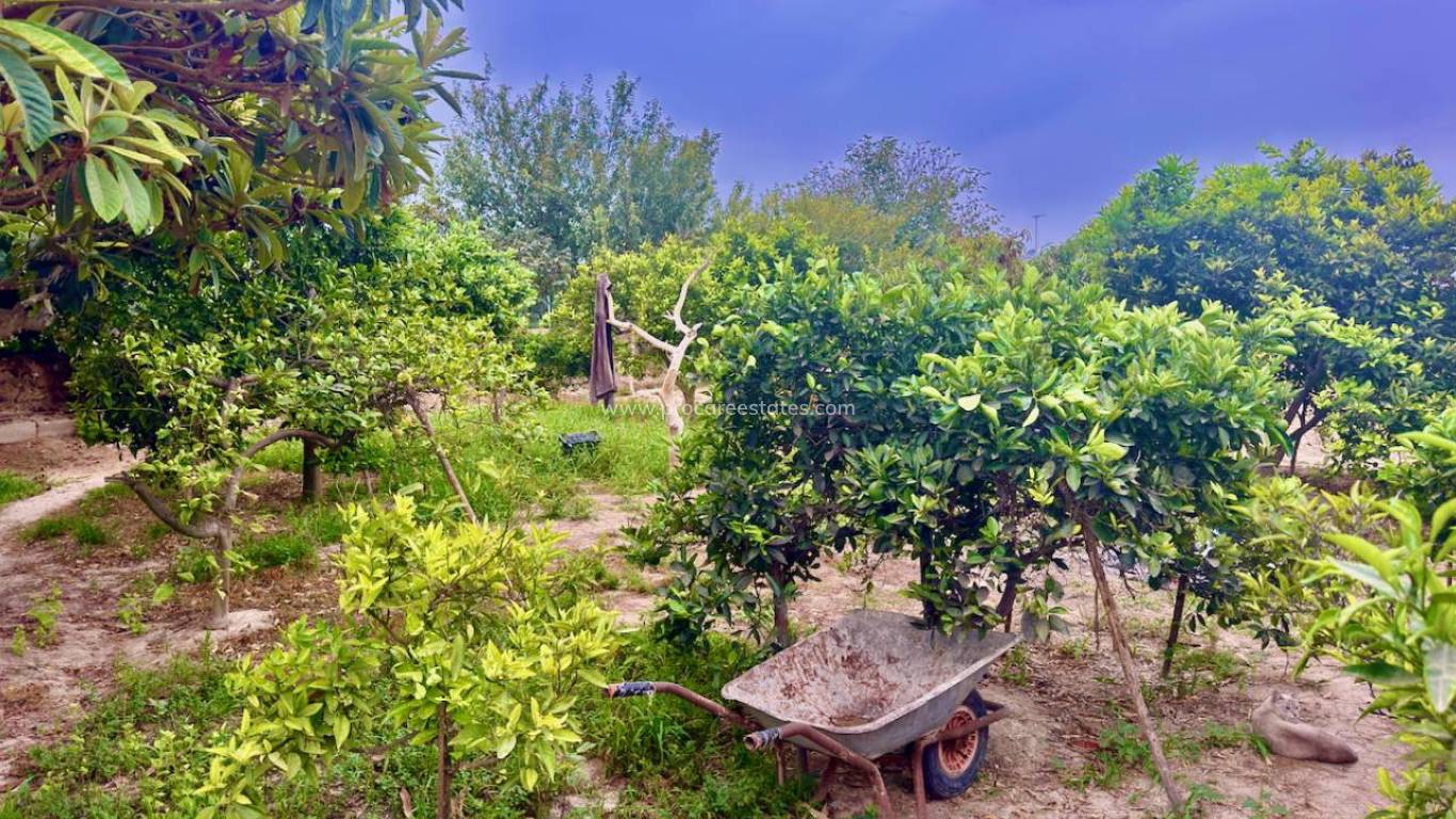 Revente - Propriété de campagne - Rojales - Ciudad Quesada