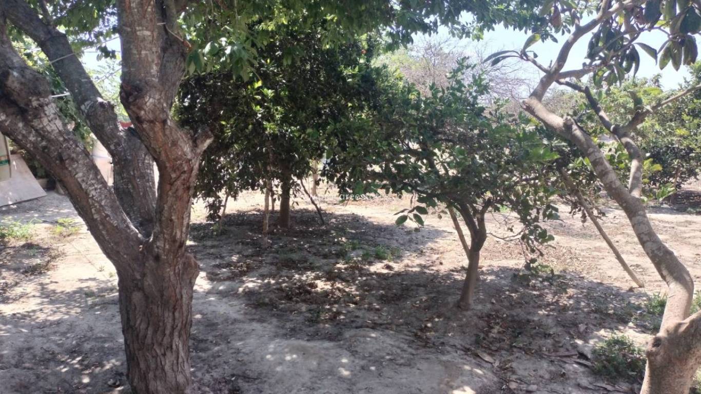 Revente - Propriété de campagne - Rojales - Ciudad Quesada