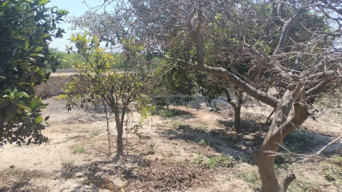 Revente - Propriété de campagne - Rojales - Ciudad Quesada