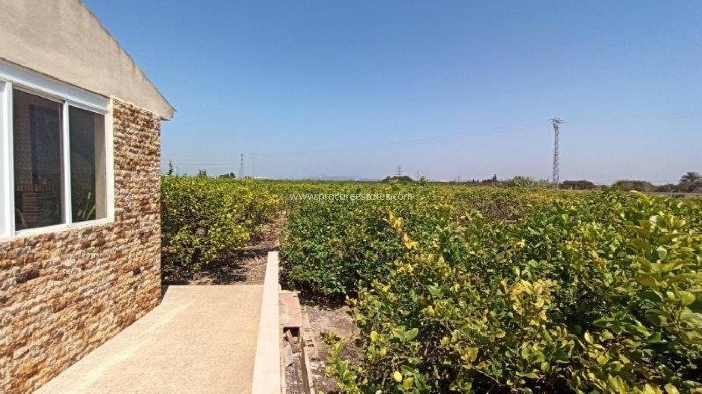 Revente - Propriété de campagne - San Miguel de Salinas - san miguel