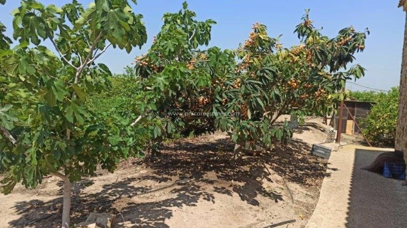 Revente - Propriété de campagne - San Miguel de Salinas - san miguel