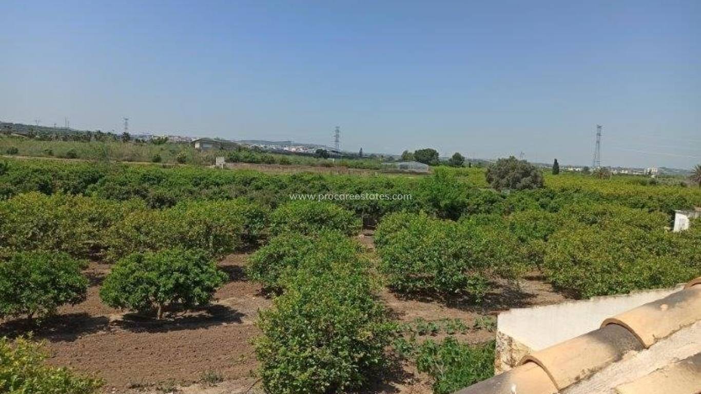 Revente - Propriété de campagne - San Miguel de Salinas - san miguel