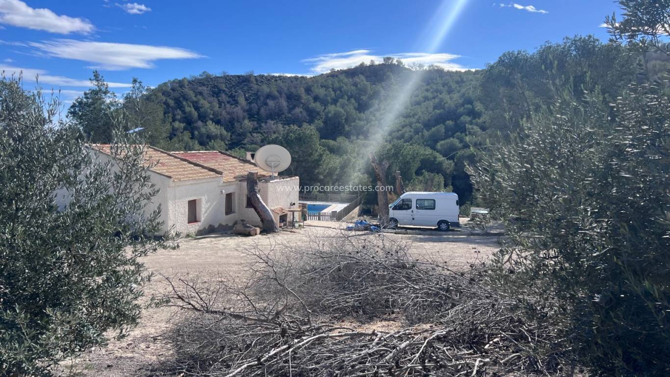 Revente - Propriété de campagne - Torremendo