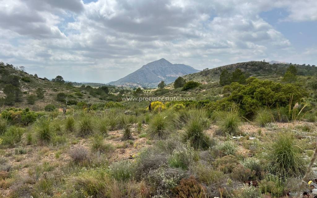 Revente - Terrain - Hondon de las Nieves