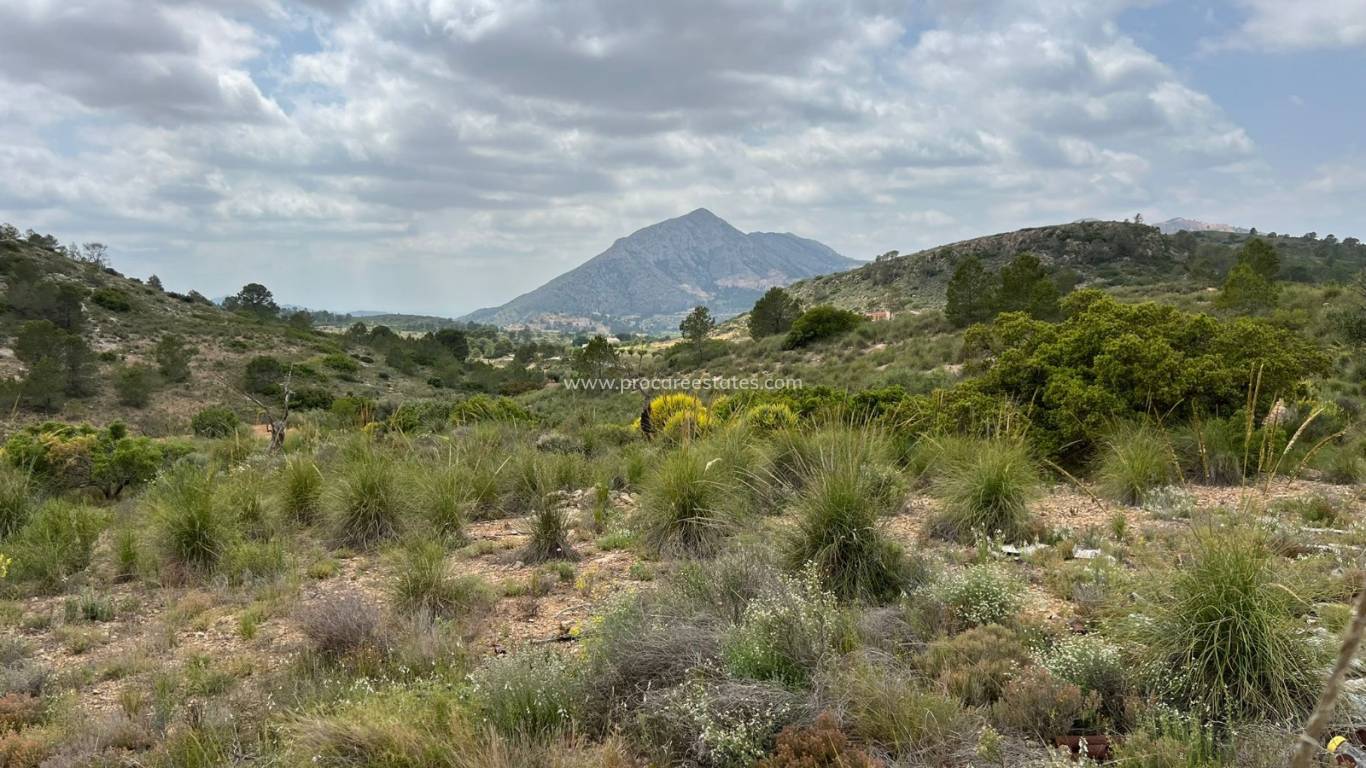Revente - Terrain - Hondon de las Nieves