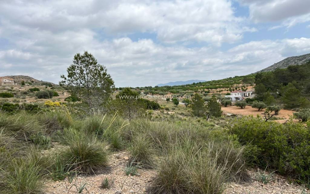 Revente - Terrain - Hondon de las Nieves