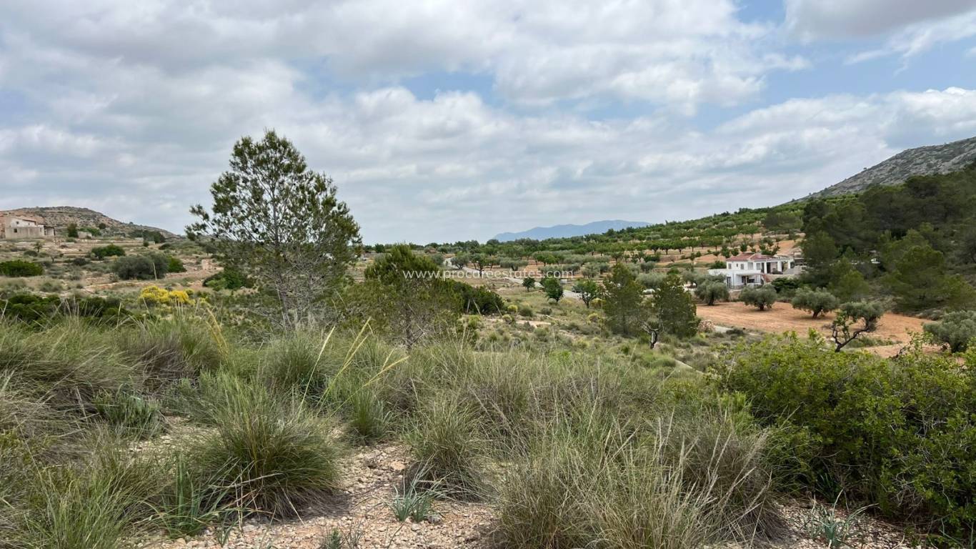 Revente - Terrain - Hondon de las Nieves