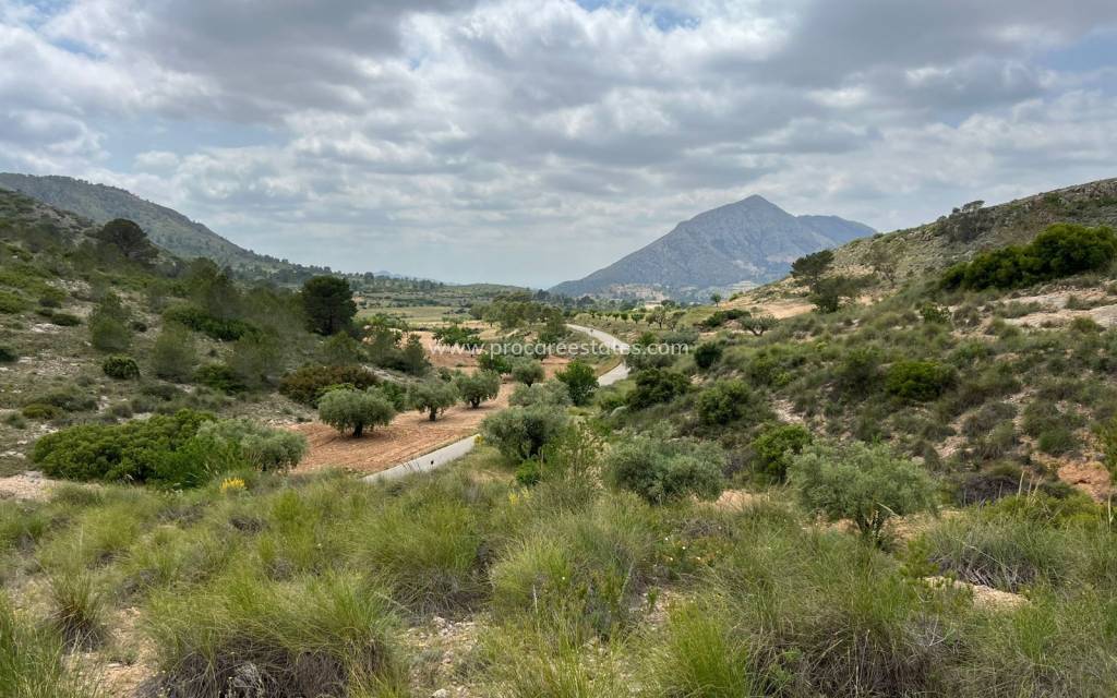 Revente - Terrain - Hondon de las Nieves