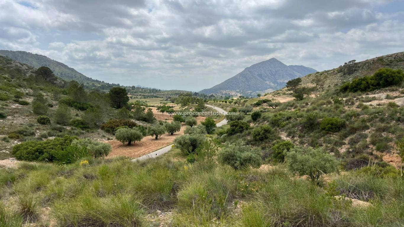 Revente - Terrain - Hondon de las Nieves