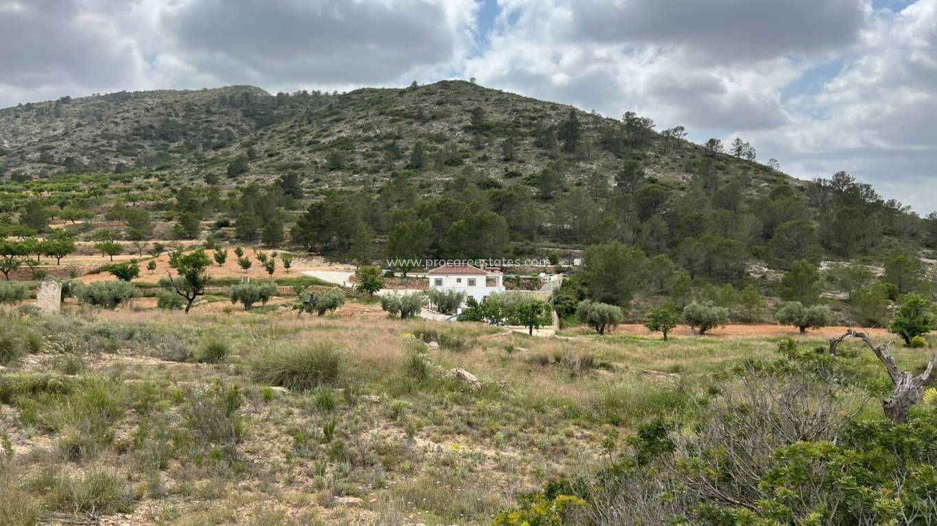 Revente - Terrain - Hondon de las Nieves