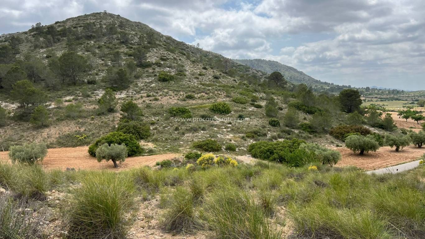 Revente - Terrain - Hondon de las Nieves