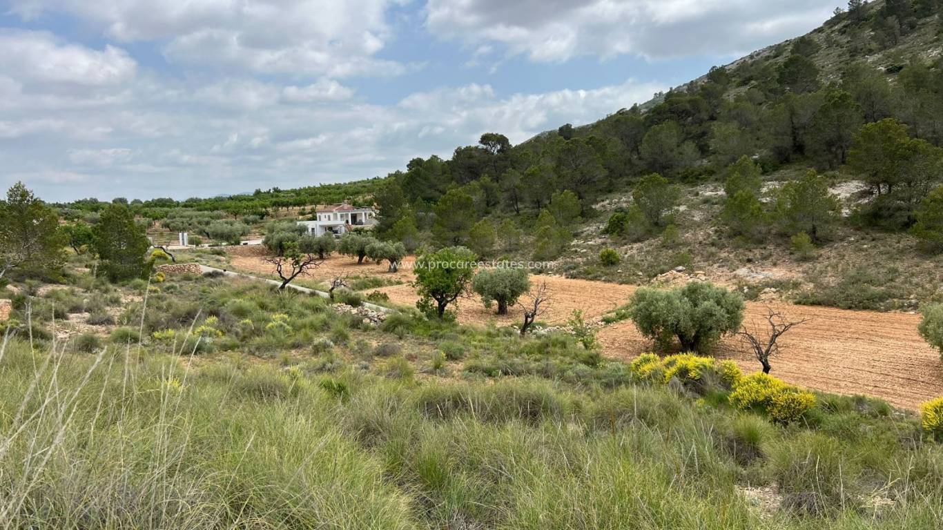 Revente - Terrain - Hondon de las Nieves