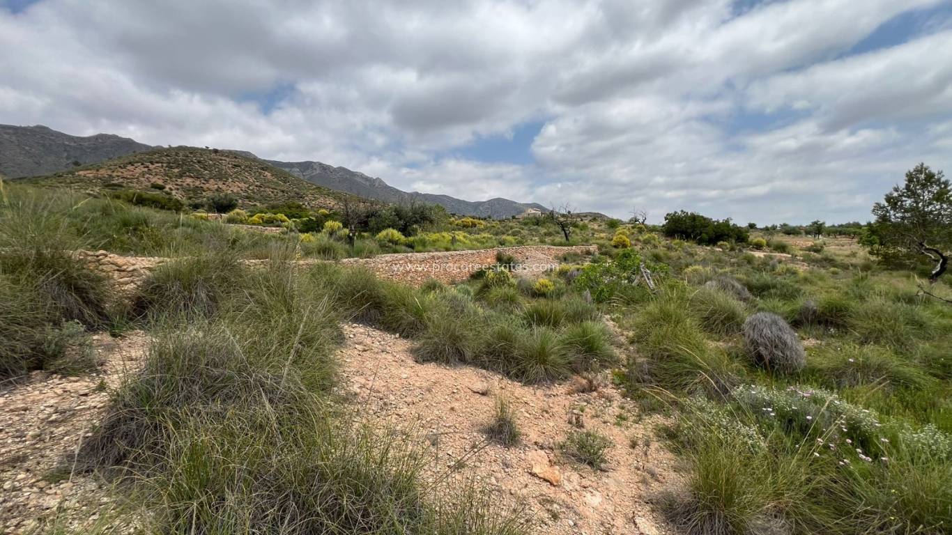 Revente - Terrain - Hondon de las Nieves