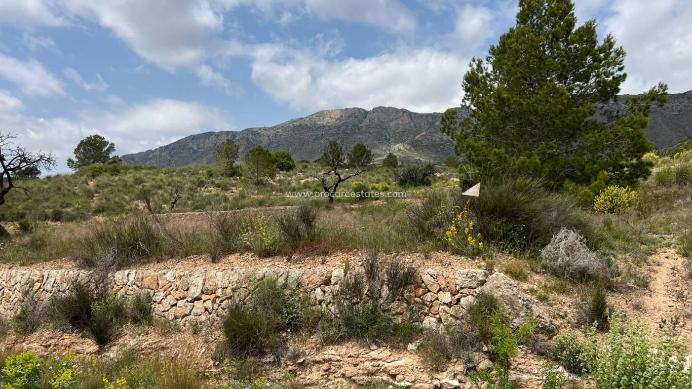 Revente - Terrain - Hondon de las Nieves
