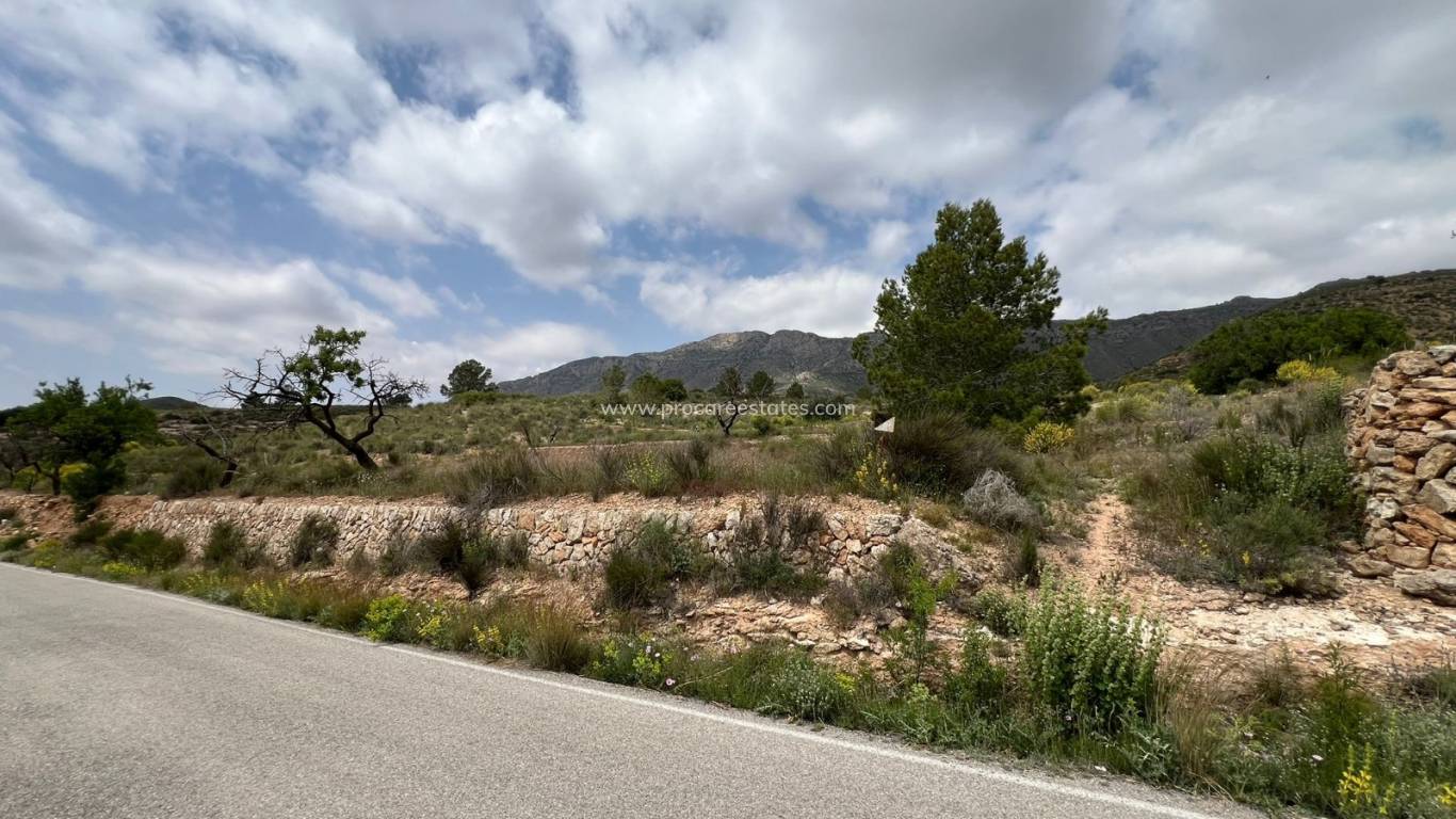 Revente - Terrain - Hondon de las Nieves
