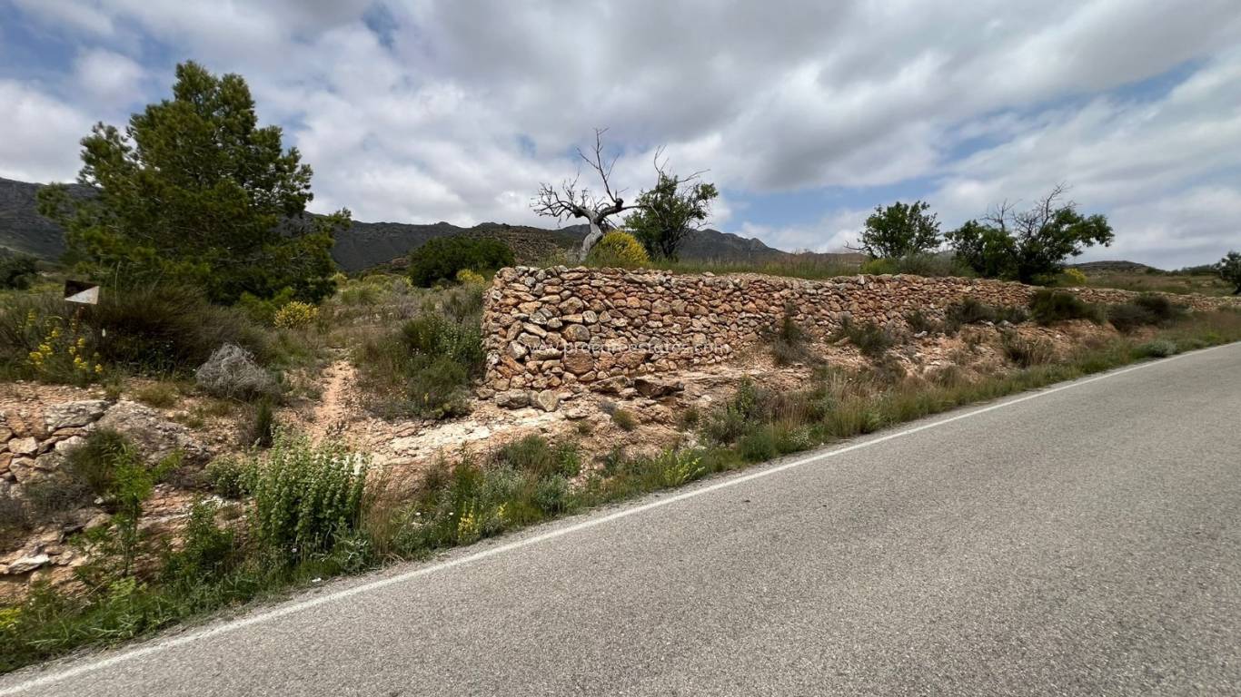 Revente - Terrain - Hondon de las Nieves